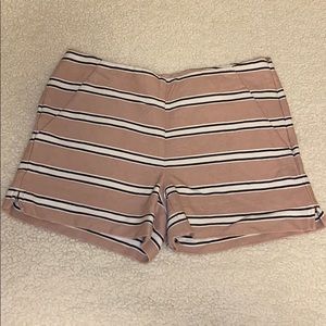 Loft shorts
